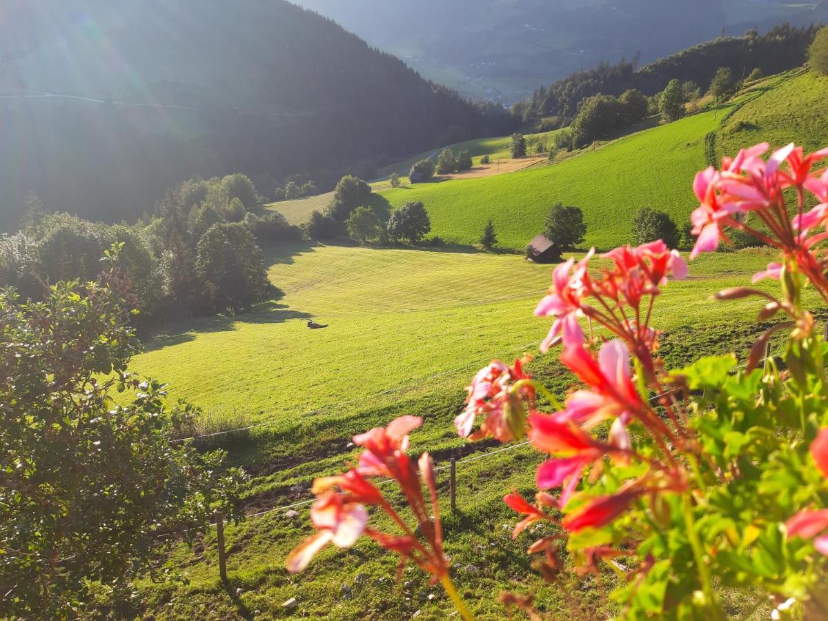 Farma Schirfhof
