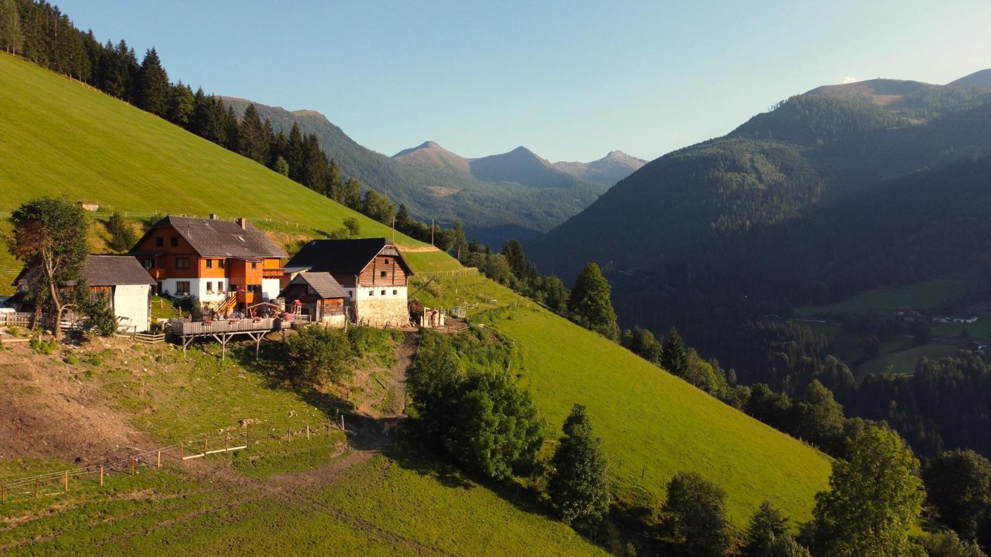 Bauernhof Schirfhof *