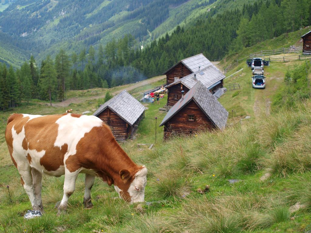 Bauernhof Schirfhof Michaelerberg