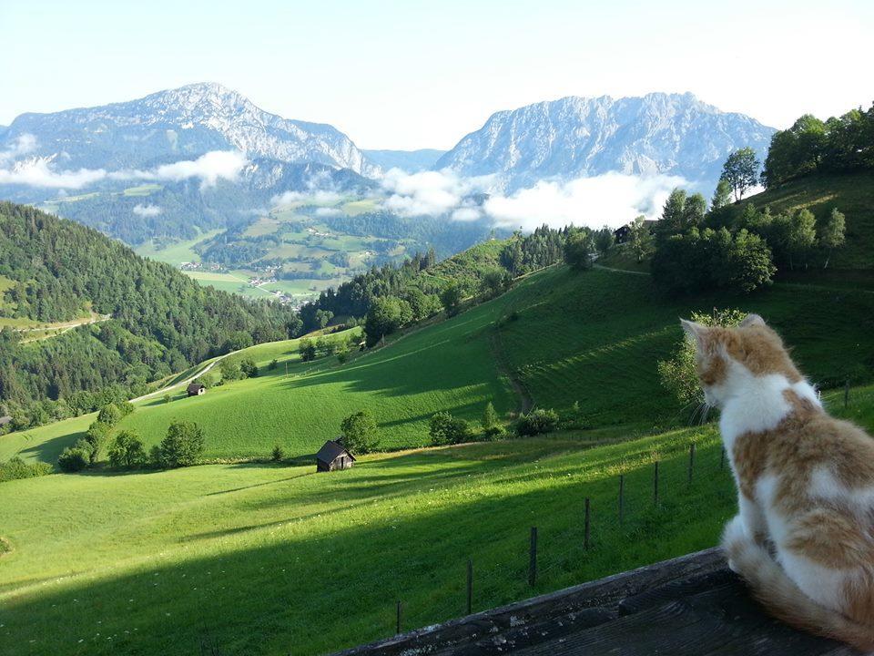 Farma Schirfhof