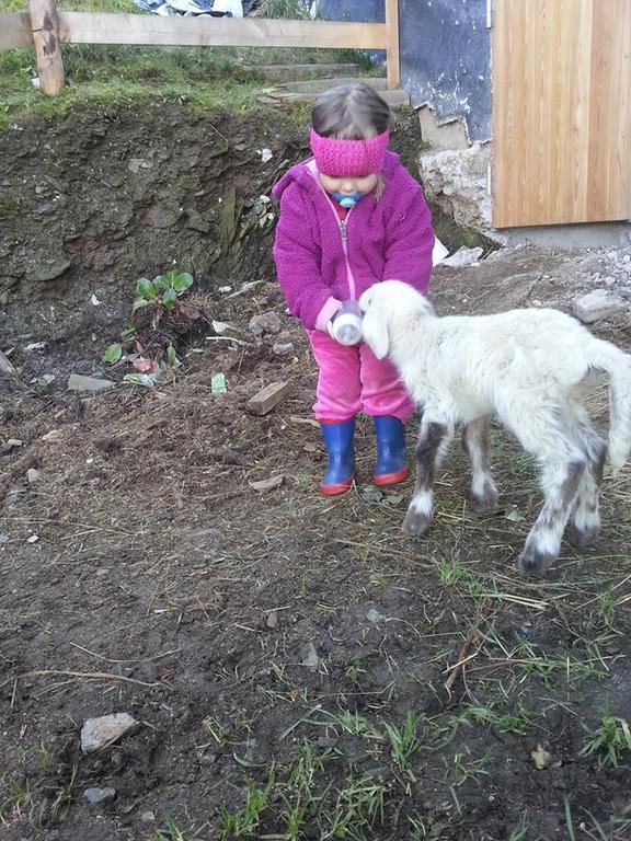 Farma Schirfhof *