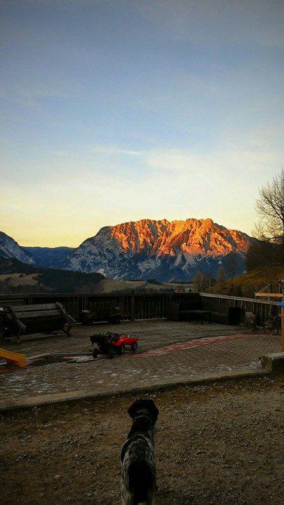Farma Schirfhof *