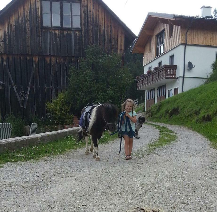 Farma Schirfhof