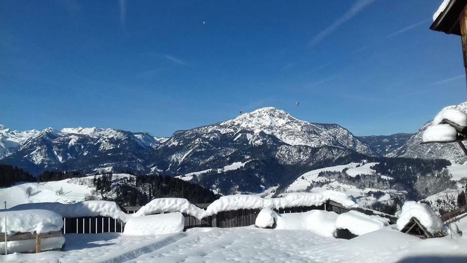 Schirfhof Bauernhof *